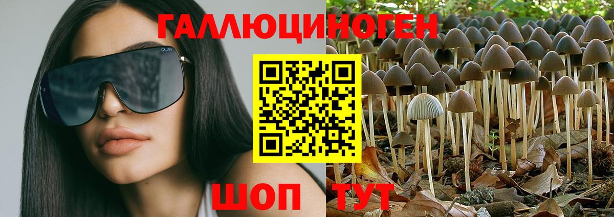 Псилоцибиновые грибы MAGIC MUSHROOMS  Вход с VPN  Ногинск 